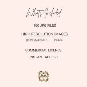 May include: A pale pink digital information graphic with dark brown text reading: Whats Included, 100 JPG FILES, HIGH RESOLUTION IMAGES, 4096X6144 PIXELS, 300 DPI, COMMERCIAL LICENCE, INSTANT ACCESS, and a small logo labeled JUNK JOURNAL ART SHOP.