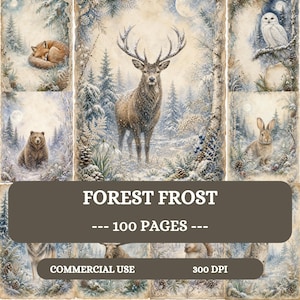 May include: A digital paper collection featuring winter forest scenes with a deer, fox, bear, owl, and rabbit. The text reads FOREST FROST, 100 PAGES, COMMERCIAL USE, and 300 DPI. The illustrations include snowy trees, pinecones, and moonlit skies.