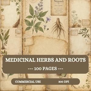 May include: A collection of vintage-style paper sheets featuring botanical illustrations of medicinal herbs and roots, including Nirgundi, with aged parchment textures, handwritten labels, and blank spaces for notes, totalling 100 pages for commercial use.