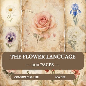 Op de afbeelding: Een digitale collectie van 100 pagina's getiteld The Flower Language, met vintage-stijl illustraties van bloemen zoals een roos, madeliefje, viooltje, blauwe iris en witte chrysant op verouderde, getextureerde papieren achtergronden.