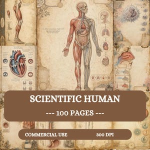May include: A collection of vintage-style anatomical illustrations featuring a central human figure with exposed musculature and internal organs, surrounded by detailed diagrams of the heart, respiratory system, and skeletal structures on aged paper.