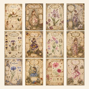 May include: A collection of twelve rectangular botanical prints featuring illustrations of flowers and fairies. Each print includes text labels such as Magnolia, Orchid, Pansy, Sweet Pea, Cornflower, and Cosmos, alongside detailed drawings of plants and winged figures.