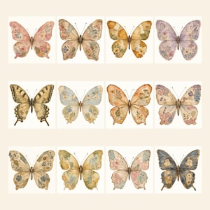 May include: A collection of twelve butterflies arranged in a grid, each featuring unique watercolor-style patterns with floral and botanical motifs in shades of pink, yellow, blue, purple, and brown against a light cream background.