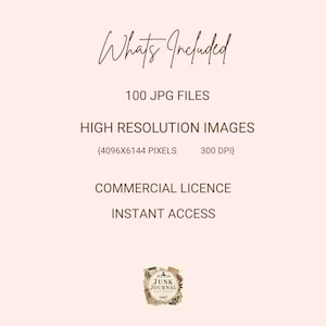 May include: A pale pink digital information graphic with dark brown text reading: Whats Included, 100 JPG FILES, HIGH RESOLUTION IMAGES, 4096X6144 PIXELS, 300 DPI, COMMERCIAL LICENCE, INSTANT ACCESS, and a small logo labeled JUNK JOURNAL ART SHOP.