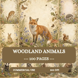 May include: A digital collection of 100 pages featuring woodland animals including a fox, deer, rabbit, hedgehog, squirrel, badger, and raccoon. The illustrations are set in a forest environment with flowers, insects, and foliage. Text reads WOODLAND ANIMALS --- 100 PAGES --- COMMERCIAL USE 300 DPI.