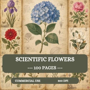 May include: A collection of botanical illustrations featuring a blue hydrangea, purple iris, red dahlia, pink peony, and white magnolia on aged parchment paper. The text reads SCIENTIFIC FLOWERS, 100 PAGES, COMMERCIAL USE, and 300 DPI.