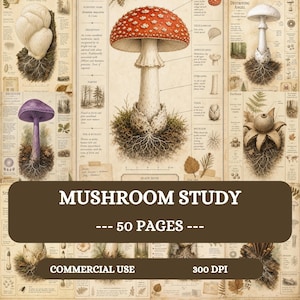 Könnte beinhalten: Eine Sammlung botanischer Pilzstudienseiten mit detaillierten Illustrationen verschiedener Pilzarten, wissenschaftlichen Beschriftungen, Diagrammen und Text auf einem Hintergrund im Vintage-Stil, beschriftet mit MUSHROOM STUDY 50 PAGES.