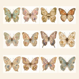 May include: A collection of twelve butterfly illustrations arranged in a grid. Each butterfly features unique wing patterns filled with botanical and floral motifs in muted tones of blue, pink, brown, orange, and cream against a light background.