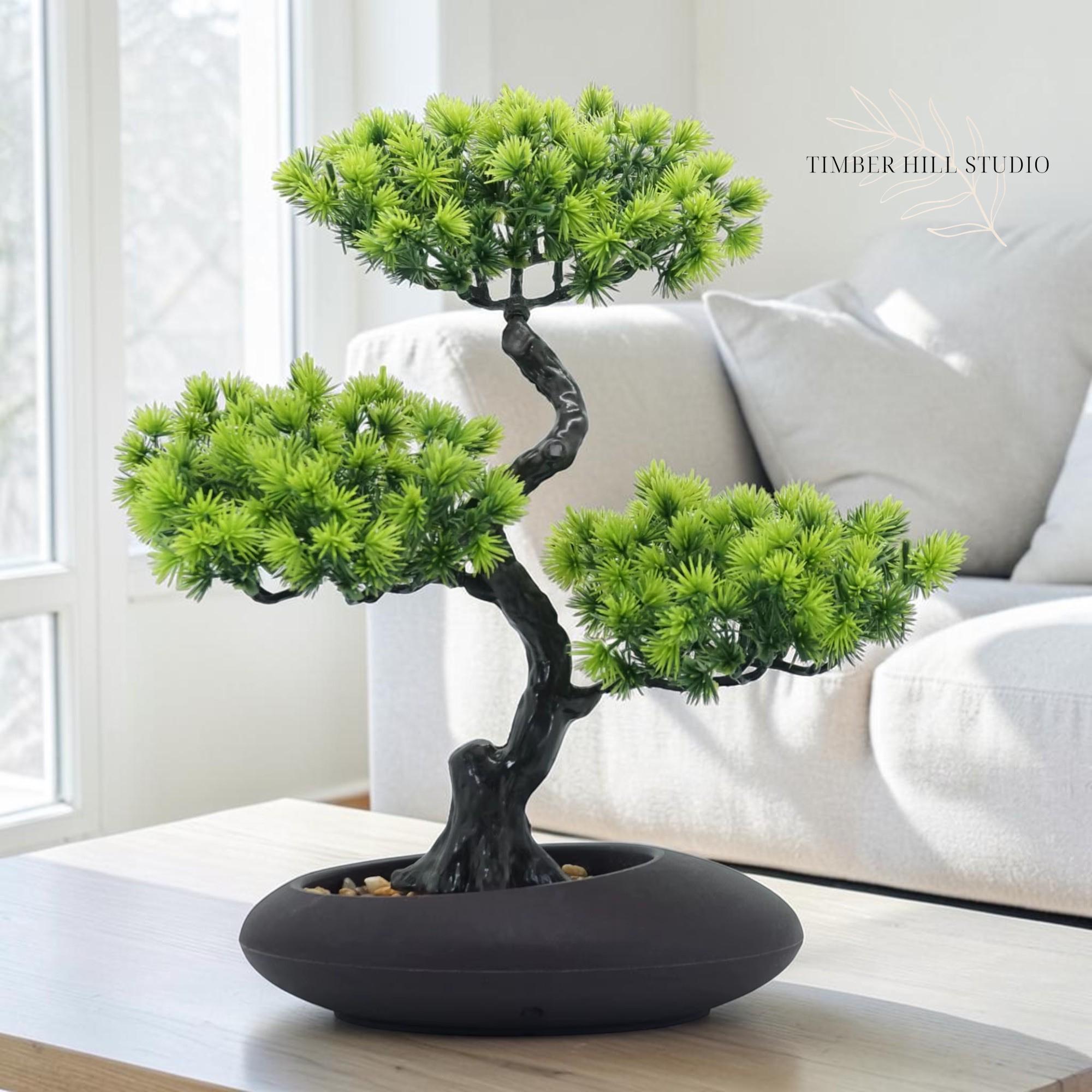 Bonsai regale - Etsy.de