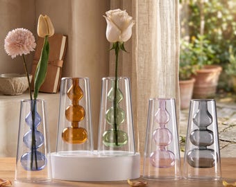Double-Walled Glass Bud Vase, Modern Hydroponic Desktop Ornament, Colored Bubble Core