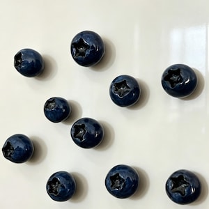 5 handgebeeldhouwde koelkastmagneten bosbes, realistisch 3D-fruit keukendecor