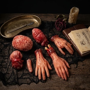 Puede incluir: Un conjunto de accesorios anatómicos realistas que incluye un cerebro humano, un corazón, dos manos cortadas, un dedo y un órgano pequeño. Estos objetos de color carne y manchados de sangre están dispuestos junto a una bandeja de metal.