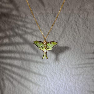 Pode incluir: Um colar de tom dourado com um pingente em forma de mariposa com asas verde-claras, bordas castanho-escuras, uma pequena pedra transparente no centro e uma conta branca semelhante a uma pérola pendurada numa corrente fina.