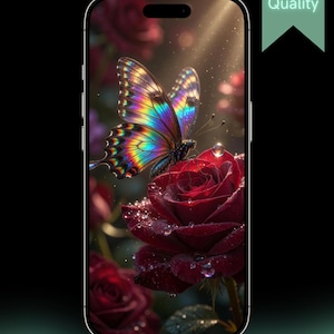 Può includere: Uno smartphone che mostra una farfalla iridescente dai colori vivaci appoggiata su una rosa rosso scuro coperta di gocce d'acqua. Lo schermo presenta il testo 4K Quality in un banner verde chiaro nell'angolo in alto a destra.