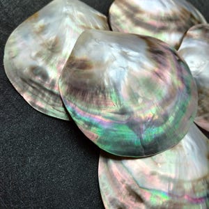 May include: A collection of iridescent mother-of-pearl shells featuring a smooth, polished surface with swirling hues of white, silver, soft pink, and deep green. The shells exhibit a natural, reflective luster with visible growth lines.