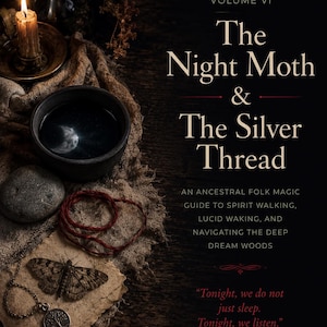 Könnte beinhalten: Ein Buchcover mit dem Titel The Night Moth & The Silver Thread, Volume VI. Der Text enthält einen Untertitel über Ahnenmagie und das Zitat: Tonight, we do not just sleep. Tonight, we listen. Zu sehen sind ein Nachtfalter, ein Anhänger und eine Kerze.