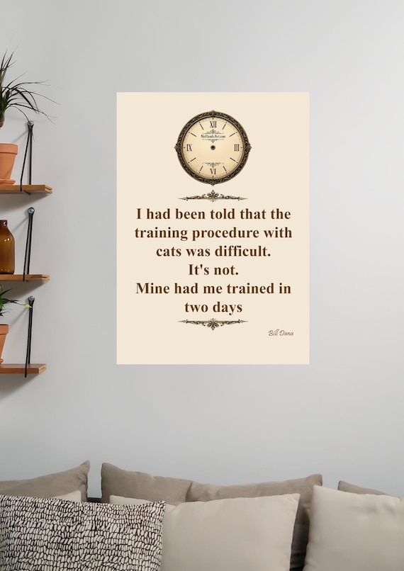 I had been told that the training procedure with cats was difficult. It's not. – Digital Download