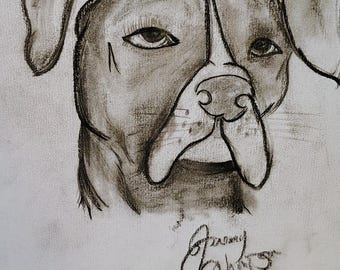 Pitbull