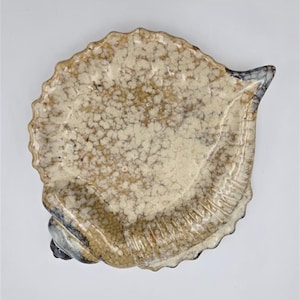 May include: A ceramic dish shaped like a seashell with a glossy finish. The surface features a mottled pattern of cream, beige, and brown tones with dark blue accents near the spiral base and edges. The rim has a scalloped texture throughout.