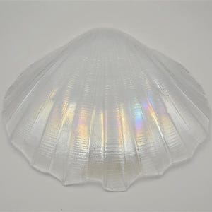 Könnte beinhalten: Eine durchscheinende, muschelförmige Glasschale mit geripptem, fächerartigem Design. Die Oberfläche hat ein irisierendes Finish, das subtile Regenbogenfarben auf dem klaren, strukturierten Material reflektiert und einen schimmernden Effekt erzeugt.