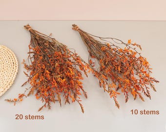 Preserved Brunt Orange Flowers Bundle Autumn Wedding Floral Decor Botanical Boho DIY Crafting