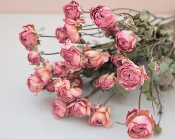 Dried Rose Flower Bundle, Wedding Floral Decoration, Vase Filling, Wreath Materials