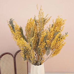 Pode incluir: Um buquê de flores de mimosa amarelas com folhas verdes em um vaso branco. As flores têm uma aparência fofa, semelhante a pompons. O vaso está sobre um fundo rosa claro, com uma tela decorativa de madeira ao fundo.