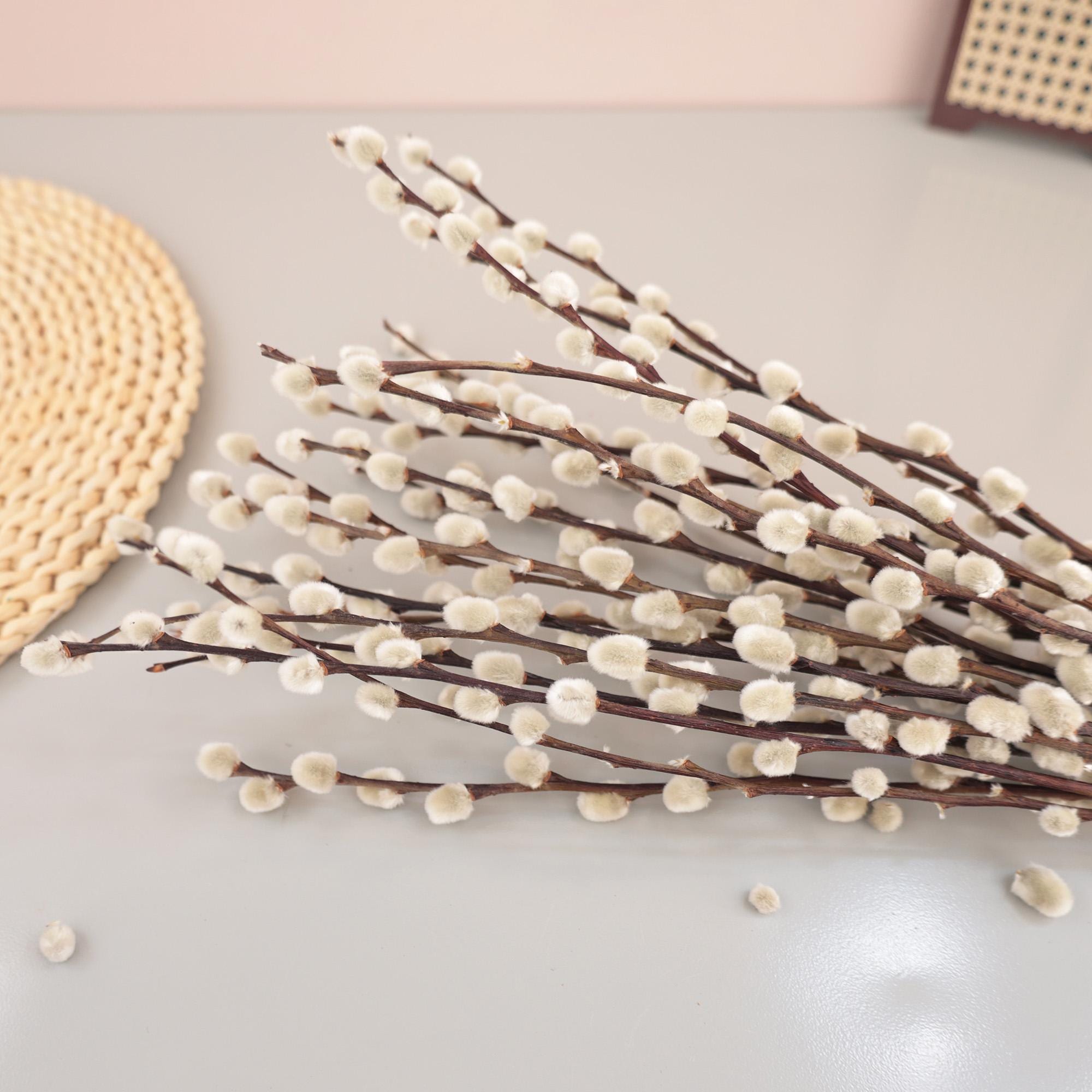 behälter zum verstauen Caraway Glas-Frischhalte-Set, 14-teilig – Keramikbeschichtete Lebensmittelbehälter – einfach zu verstauen, ungiftige Lunchbox-Behälter mit colour-taupe
