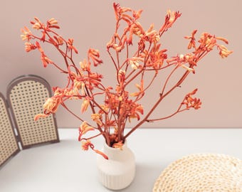 Dried Kangaroo Paws Branches, Wedding Home Decor, Vase Filling, Wreath Materials, Dried Flower Bouquet