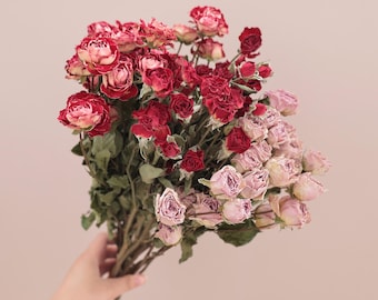 Dried Rose Flower Bundle, Wedding Floral Decoration, Vase Filling, Wreath Materials