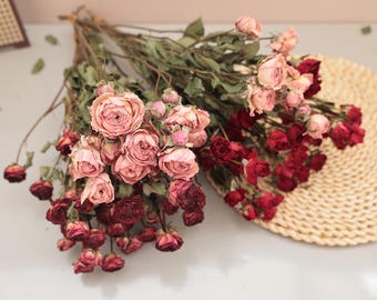 Dried Rose Flower Bundle, Wedding Floral Decoration, Vase Filling, Wreath Materials
