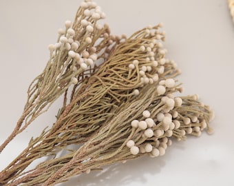 Natural Dried Flower Arrangement, Wedding Home Decor, Vase Filling, Wreath Materials, Dried Flower Bouquet
