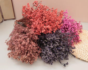 Statice tedesca, fiori secchi conservati, ideali per riempire vasi, ghirlande e bouquet di fiori secchi.