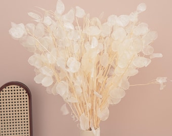 Natural Dried Lunaria Bunch, Natural Wreath Materials, Wedding DIY Floral Arrangement  , Autumn Vase Filler, Wreath Materials, Dried Bouquet