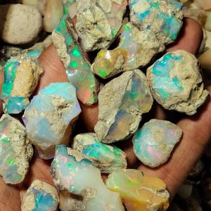 May include: A collection of raw, unpolished opal stones featuring a milky white base with vibrant flashes of neon green, blue, and orange fire. These irregular, rough-textured mineral specimens display natural inclusions and varied shapes.