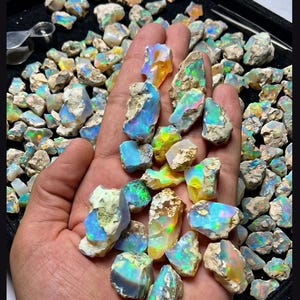 May include: A collection of raw, unpolished opal stones featuring iridescent flashes of blue, green, yellow, and orange. The stones have a rough, natural texture with a light-colored matrix and are displayed in a large quantity on a black tray.