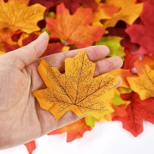 May include: A hand holding a vibrant yellow maple leaf with detailed dark brown veining. The leaf is surrounded by a collection of colorful autumn leaves in shades of red, orange, and yellow, creating a seasonal display.