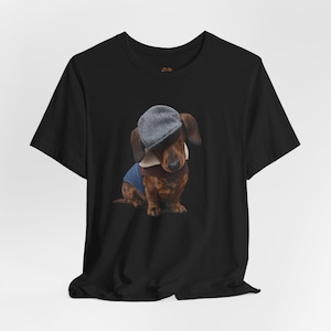 Może przedstawiać: Czarny t-shirt z jamnikiem w szarej czapce w jodełkę, niebieskiej koszuli i brązowym szaliku. Pies ma brązowe i płowe futro i siedzi.