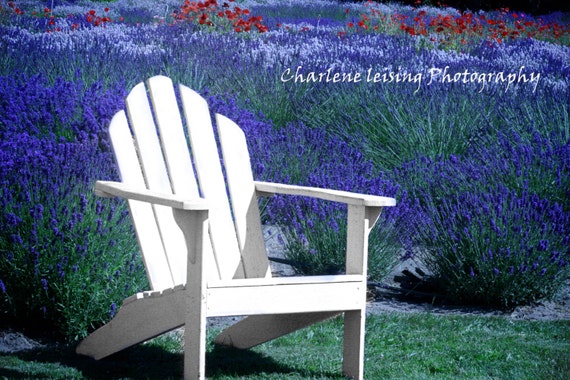 Lavender Fields White Adirondack Chair Fine Art Photography Etsy