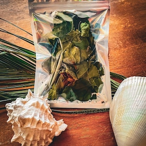 May include: A clear, iridescent, resealable plastic pouch filled with dried green leaves. The pouch is positioned between a white, textured, spiral-shaped seashell on the left and a smooth, off-white, oval-shaped seashell on the right.