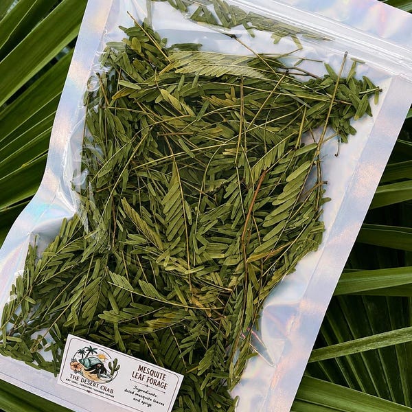 Dried Mesquite Leaves for Hermit Crabs | Natural Foraging Enrichment & Tank Decor | Bioactive Habitat