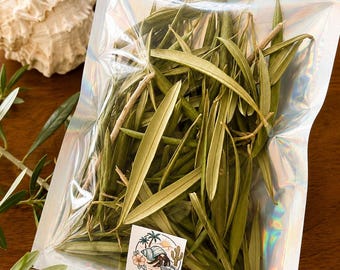 Hojas de olivo y ramitas: enriquecimiento bioactivo para el recinto de isópodos del cangrejo ermitaño.