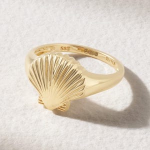 Puede incluir: Un anillo de oro pulido que presenta un diseño de concha marina prominente en la parte frontal. El interior de la banda está claramente grabado con el número 585, que indica la pureza del oro, junto con sellos adicionales y la palabra MATEO.