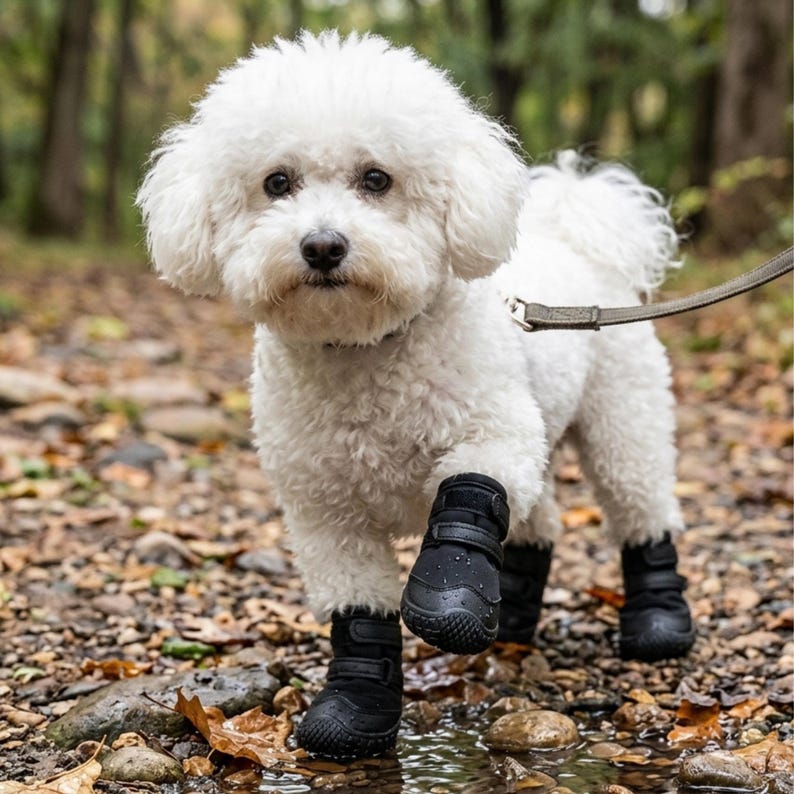 Waterproof Pet Shoes, Black Non-Slip Pet Footwear with Velcro, Wear-Resistant for Outdoor Walks, For Small and Medium Pets image 1