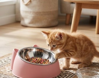 Pet Feeding Bowls – Inclined Pink Stainless Steel Cat and Puppy Food & Water Bowls, Easy Feeding, Gift for Pet Owners and Animal Lovers