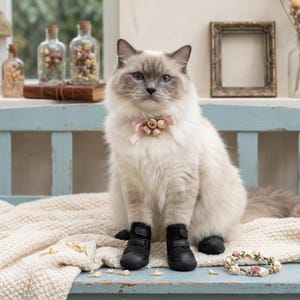 May include: A long-haired cat with blue eyes wearing a light pink ribbon collar adorned with small artificial roses and four black protective boots with velcro straps on its paws, sitting on a textured cream-colored fabric surface.