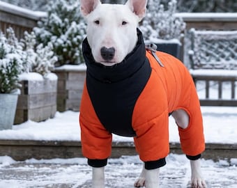 Warm Winter Orange Dog Coat, Weather-Resistant Insulated Pet Jacket for Small to Large Dogs