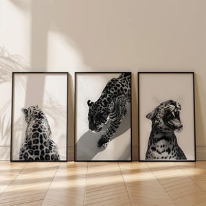 May include: A set of three framed wall art prints featuring black and white photography of a leopard. The first print shows the leopard from behind, the second shows it walking forward, and the third shows the leopard with its mouth open.