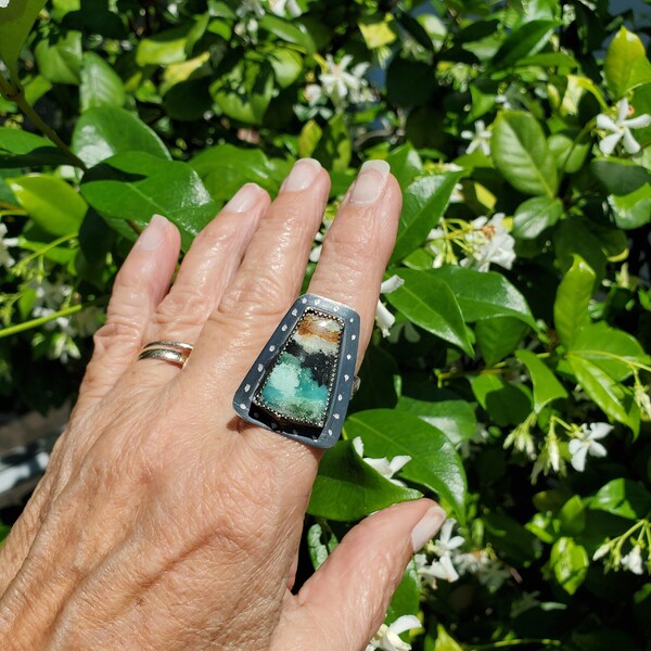 Petrified Wood Ring - Etsy