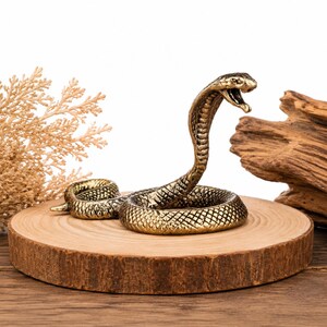 May include: A detailed brass cobra figurine with an open mouth, poised to strike. The snake is coiled on a round, natural wood slice. The background includes dried foliage and a piece of driftwood, creating a naturalistic display.